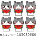 Illustration 6 facial expression set of a mackerel cat holding a watermelon with a smile 103080680