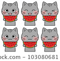 Illustration 6 facial expression set of a mackerel cat holding a watermelon with a smile 103080681