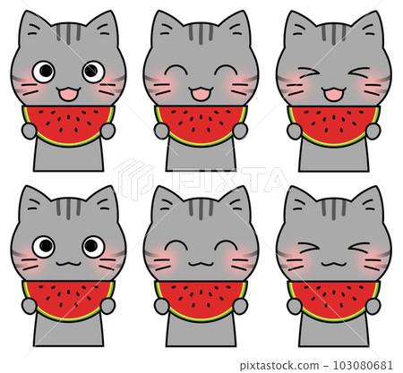 Illustration 6 facial expression set of a mackerel cat holding a watermelon with a smile 103080681