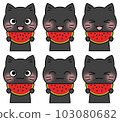Illustration 6 facial expression set of a black cat holding a watermelon with a smile 103080682