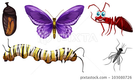 Set of different kinds of insects 103080726