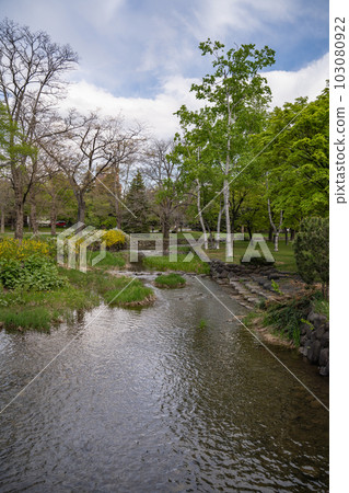 北海道札幌市中島公園的小溪和鬱鬱蔥蔥的綠植。 北海道札幌市中島公園的小溪和鬱鬱蔥蔥的綠植。 103080922