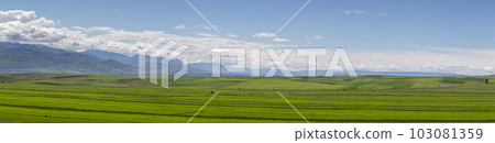 Endless expanses of agricultural land. Endless expanses of agricultural land. 103081359