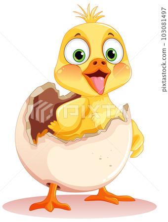 Little Duck Hatching from Egg 103081497