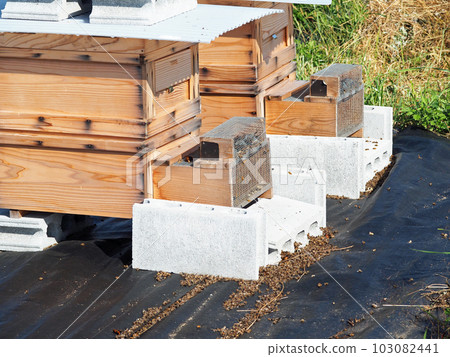 Wooden beehives and flying bees Wooden beehives and flying bees 103082441