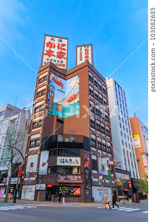 Susukino, Sapporo City, Hokkaido 103082685