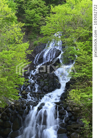Fudo Falls at Matsunoyama Onsen, Tokamachi City, Niigata Prefecture Fudo Falls at Matsunoyama Onsen, Tokamachi City, Niigata Prefecture 103082722
