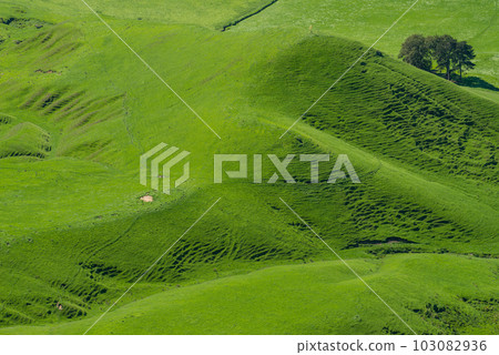 Beautiful green field in the area of Te Mata peak in Hawke's Bay region of North Island, New Zealand. Agricultural landscape in Hawke's Bay region. 103082936
