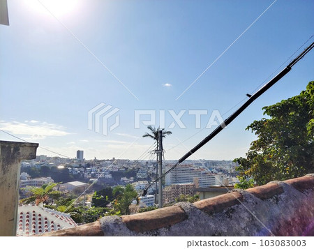 52 Shuri Kinjocho Ishidatamichi Okinawa 103083003