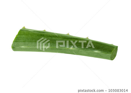 Fresh Aloe vera slice isolated on white background. Aloe vera leaf slice for design of herbal medicine or skin care treatment. Fresh Aloe vera slice isolated on white background. Aloe vera leaf slice for design of herbal medicine or skin care treatment. 103083014