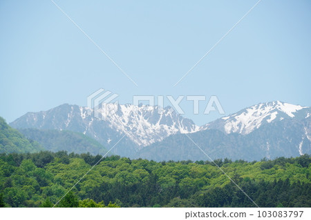 松本盛開的玫瑰園和阿爾卑斯山 松本盛開的玫瑰園和阿爾卑斯山 103083797