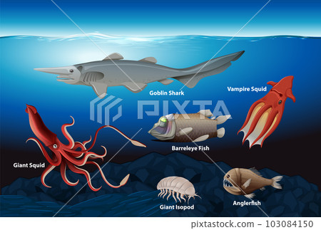 Deep Sea Creatures Collection 103084150