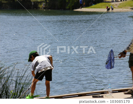 A boy uses a net to catch small fish in a large pond in a park. Put the prey in a plastic bottle and put it in the aquarium at home 103085170