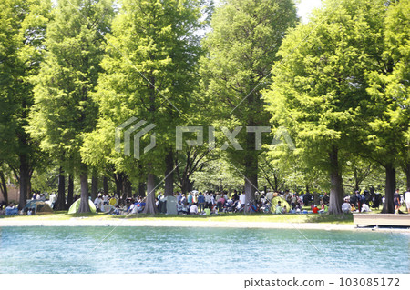 We set up a tent under the young leaves of trees by the waterside, drink, talk, and play games. The company's comfort party was exciting with the children We set up a tent under the young leaves of trees by the waterside, drink, talk, and play games. The company's comfort party was exciting with the children 103085172