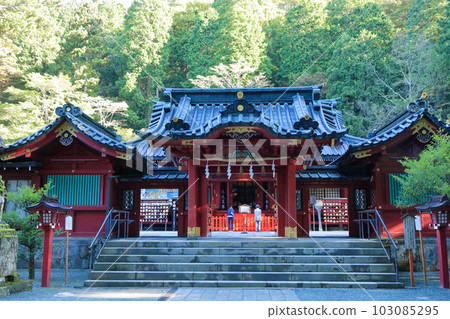 箱根神社：本殿和駒奴 103085295