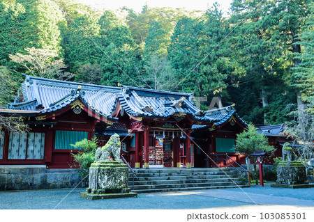 Hakone Shrine: Main shrine and Komainu 103085301
