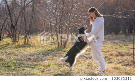 Caucasian woman hugging her dog Border Collie while sitting on a bench in autumn park. 103085311