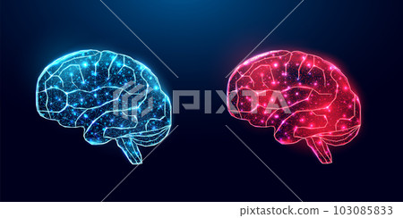 Human brain. Wireframe low poly style. Concept for medical, brain cancer, neural network. Abstract modern 3d vector illustration on dark blue background Human brain. Wireframe low poly style. Concept for medical, brain cancer, neural network. Abstract modern 3d vector illustration on dark blue background 103085833