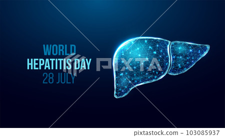 Liver wireframe. World hepatitis day concept. Banner template with glowing low poly liver. Futuristic modern abstract. Isolated on dark background. Vector illustration Liver wireframe. World hepatitis day concept. Banner template with glowing low poly liver. Futuristic modern abstract. Isolated on dark background. Vector illustration 103085937