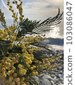 Mimosa against the background of the sea. 103086047