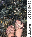 Feet under the sea. Foots immersed in water, stones under water. Mobile photography 103086049