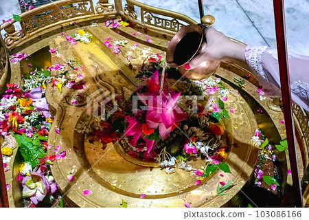 Hindu Devotees offering milk And Water to Shiv Lingam on occasion of Abhishekam in India Hindu Devotees offering milk And Water to Shiv Lingam on occasion of Abhishekam in India 103086166