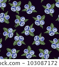 Cute vector seamless pattern with blueberries and leaves on dark background hand drawn vector illustration 103087172