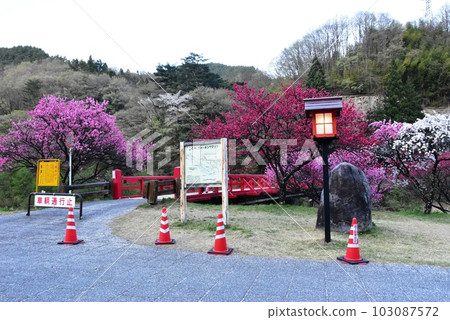 長野縣的晝神溫泉村阿智川上的湯瀨橋、盛開的花桃和旅遊信息板 103087572