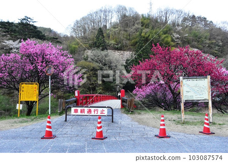 長野縣的晝神溫泉村阿智川上的湯瀨橋、盛開的花桃和旅遊信息板 長野縣的晝神溫泉村阿智川上的湯瀨橋、盛開的花桃和旅遊信息板 103087574