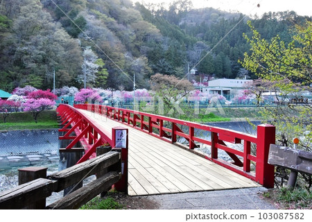 Hirugami Onsen Village in Nagano Prefecture Yunose Bridge over the Achi River and Hanamomo in full bloom 103087582