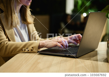 Female hands typing on laptop keyboard, close up. Woman using laptop in office. Online work 103087692