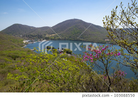 從新綠的赤城山看到的大沼 103088550