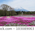 Mt.Fuji from Shibazakura 103089063