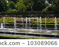 roses in the fountain 103089066