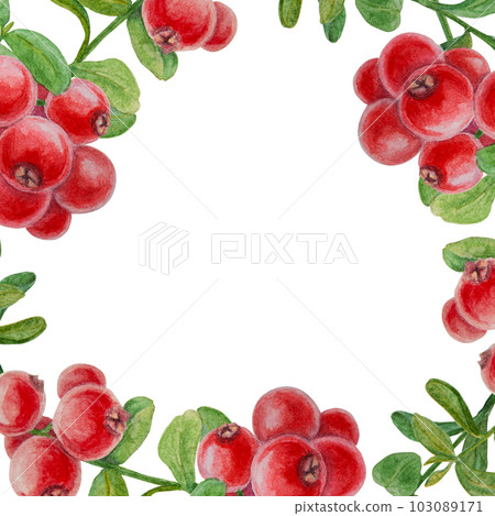 Wild red berries watercolor border. Hand drawn botanical realistic illustration. Forest cranberry, cowberry branch isolated on white background. Great for printing on fabric, postcards, invitations Wild red berries watercolor border. Hand drawn botanical realistic illustration. Forest cranberry, cowberry branch isolated on white background. Great for printing on fabric, postcards, invitations 103089171