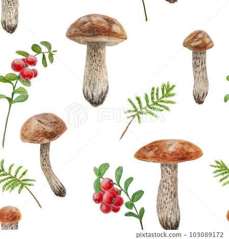 Wild mushrooms, red wild berries and moss watercolor seamless pattern. Hand drawn botanical realistic illustration. Forest boletus and cranberry isolated on white background. Wild mushrooms, red wild berries and moss watercolor seamless pattern. Hand drawn botanical realistic illustration. Forest boletus and cranberry isolated on white background. 103089172