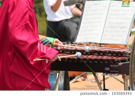 Children's orchestra outdoor concert 103089393