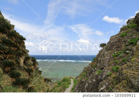 Beautiful sea view of Amami Oshima from the road to Kasarizaki Lighthouse 103089911