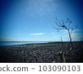 a lonely sea 103090103