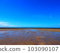 A phantom sandy beach that appears at low tide 103090107