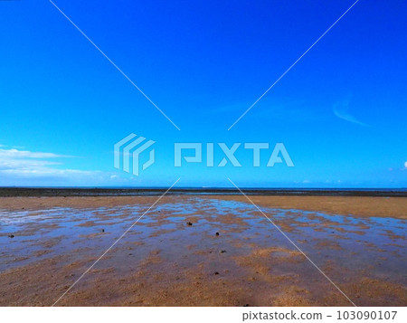 A phantom sandy beach that appears at low tide 103090107