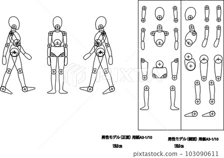 Male height 130cm 103090611