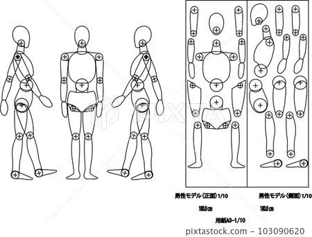 Male height 180cm 103090620