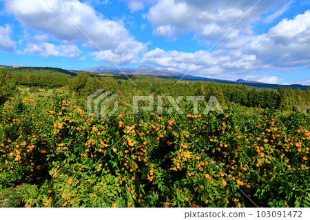 It is a beautiful landscape of Hallasan, a famous mountain in Jeju Island, South Korea. 103091472