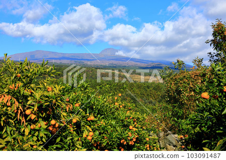 It is a beautiful landscape of Hallasan, a famous mountain in Jeju Island, South Korea. It is a beautiful landscape of Hallasan, a famous mountain in Jeju Island, South Korea. 103091487