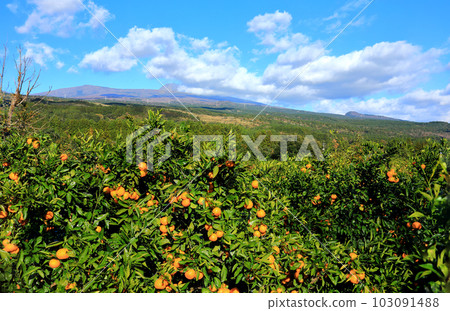 It is a beautiful landscape of Hallasan, a famous mountain in Jeju Island, South Korea. It is a beautiful landscape of Hallasan, a famous mountain in Jeju Island, South Korea. 103091488
