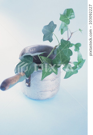 Vintage cups and foliage plants Vintage cups and foliage plants 103092227