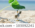 A penguin doll with a sandy beach and a sanshin 103092241
