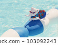 Elephant doll in pool and Aloha shirt 103092243