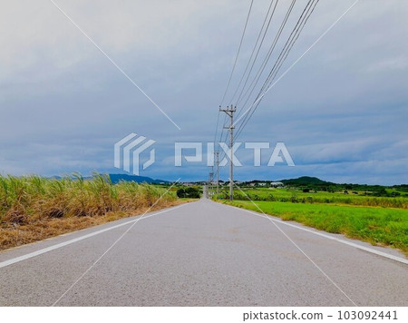 Sugar Road on Kohama Island in Okinawa Prefecture 103092441